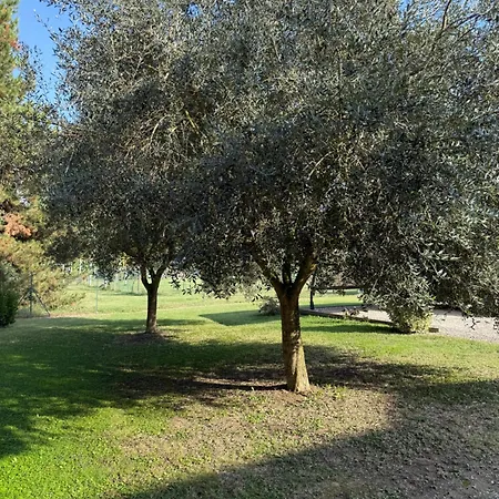 Apartamento La Corte Degli Ulivi - Con Parco Ferrara