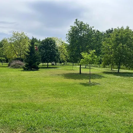 La Corte Degli Ulivi - Con Parco Apartamento *