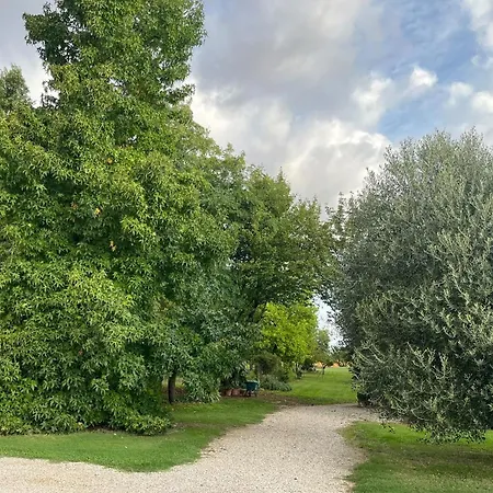 Apartamento La Corte Degli Ulivi - Con Parco