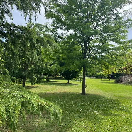La Corte Degli Ulivi - Con Parco Ferrara