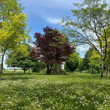 La Corte Degli Ulivi - Con Parco * Ferrara